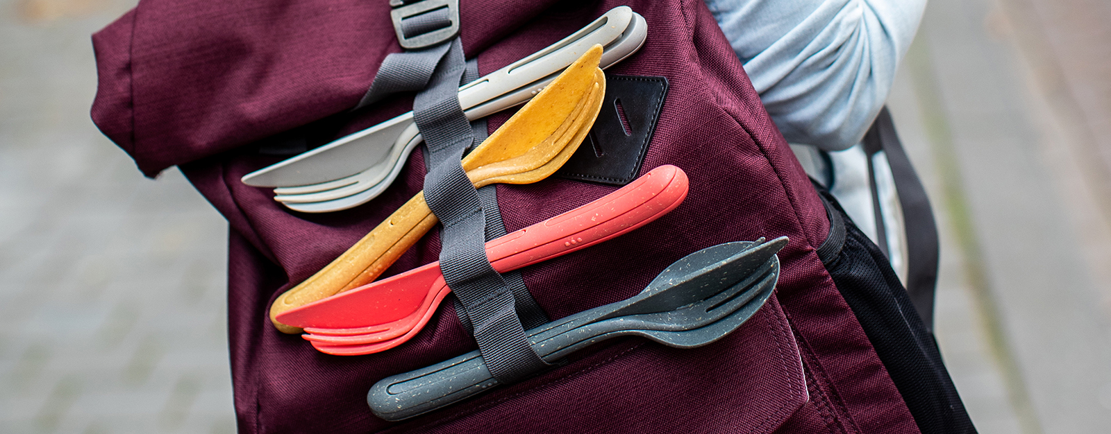 Nachhaltige Lebensbegleiter 